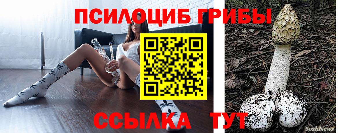 Галлюциногенные грибы прущие грибы Ханты-Мансийск